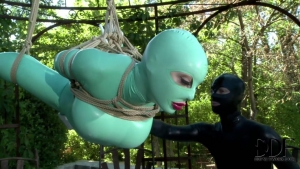 Latex lucy suspended penetration
